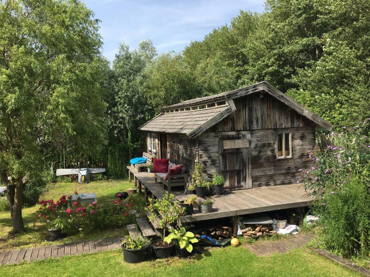 Cabin In The Green - Near Amsterdam Фелсен-Заут Екстериор снимка